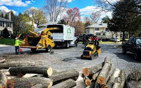 Rossmoor, NJ Tree Removal and Landscaping Services Company